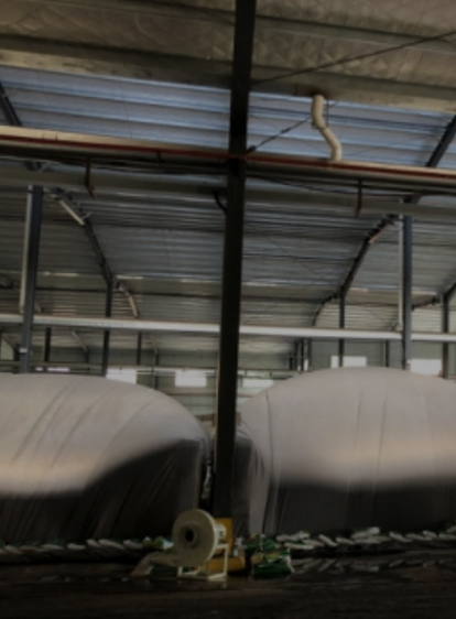 海洋之神·hy590(中国)最新官方网站